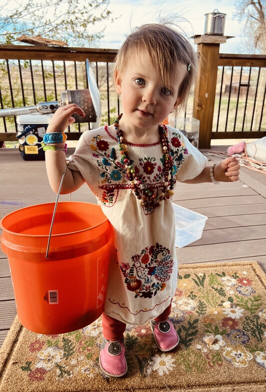 child family chiropractic longmont nervous system 