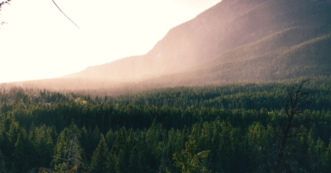 Prenatal Massage Therapy